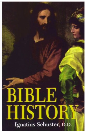 Bible History