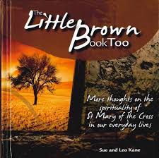 Little Brown Book Too