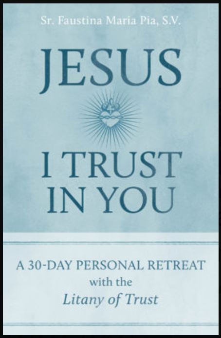 Jesus I Trust in You: a 30-day Personal Retreat With the Litany of Trust - Image 2